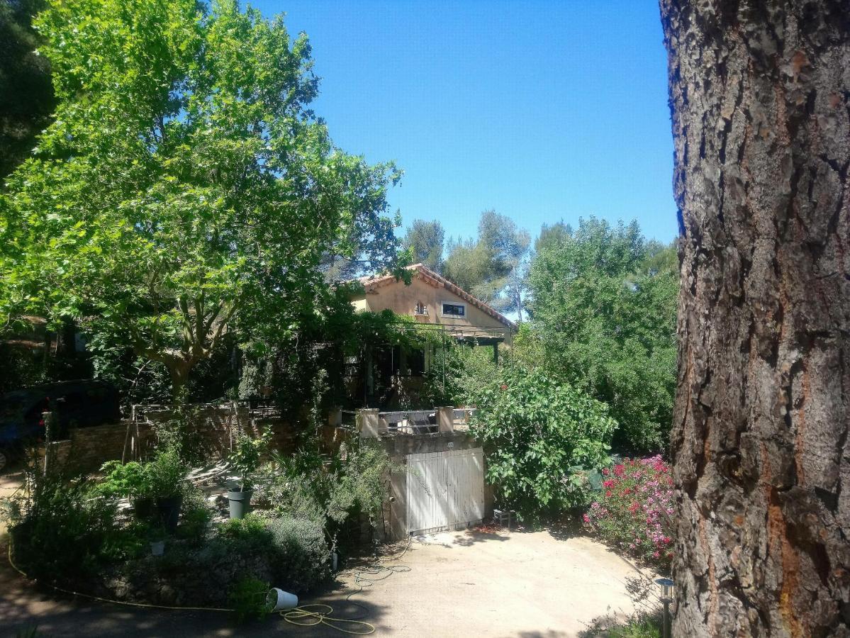 Maison De Charme Avec Piscine Et Jacuzzi Dans Cadre Exceptionnel Proche Marseille Mirabeau Εξωτερικό φωτογραφία