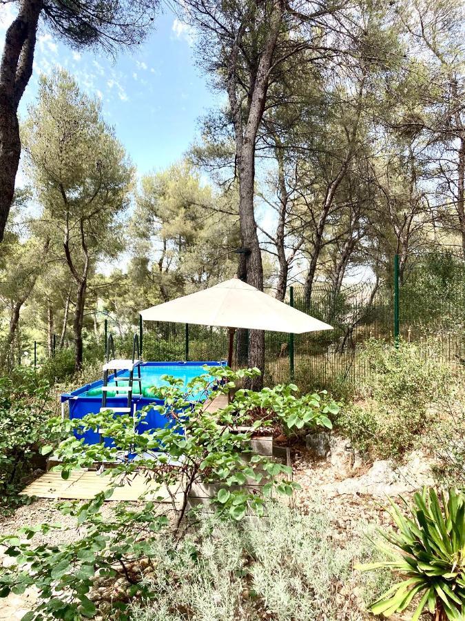 Maison De Charme Avec Piscine Et Jacuzzi Dans Cadre Exceptionnel Proche Marseille Mirabeau Εξωτερικό φωτογραφία